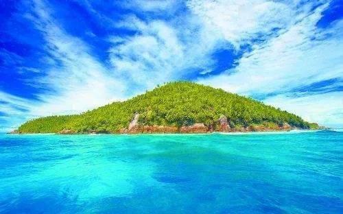 泸州龙马潭： 巧手“剪”出年味儿