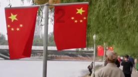 漆黑的森林逃脱