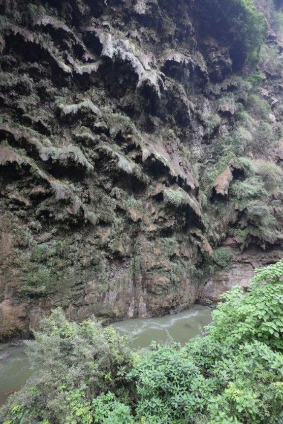 宝可梦探险寻宝