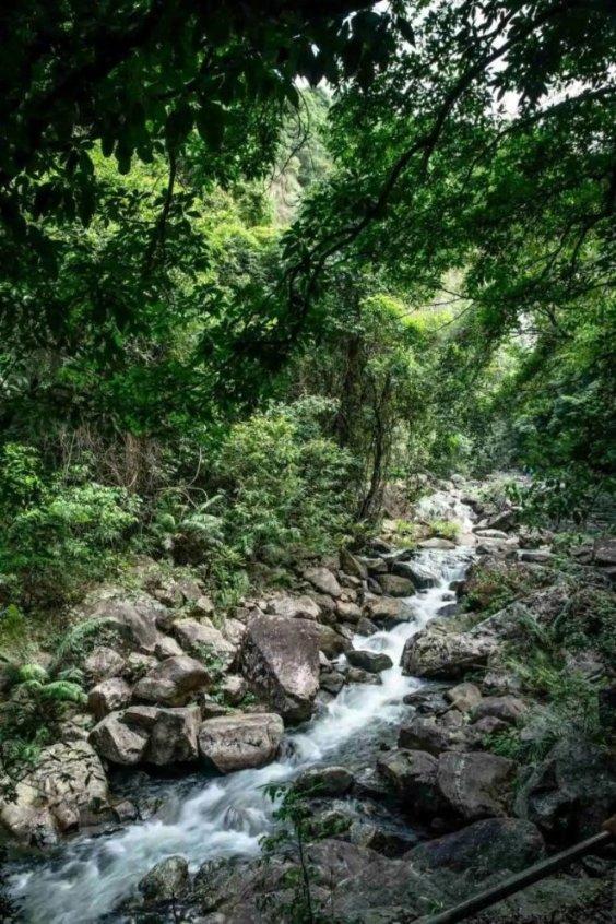 有颠覆设计更有顶级驾控,全新宝马5系还缺点啥?